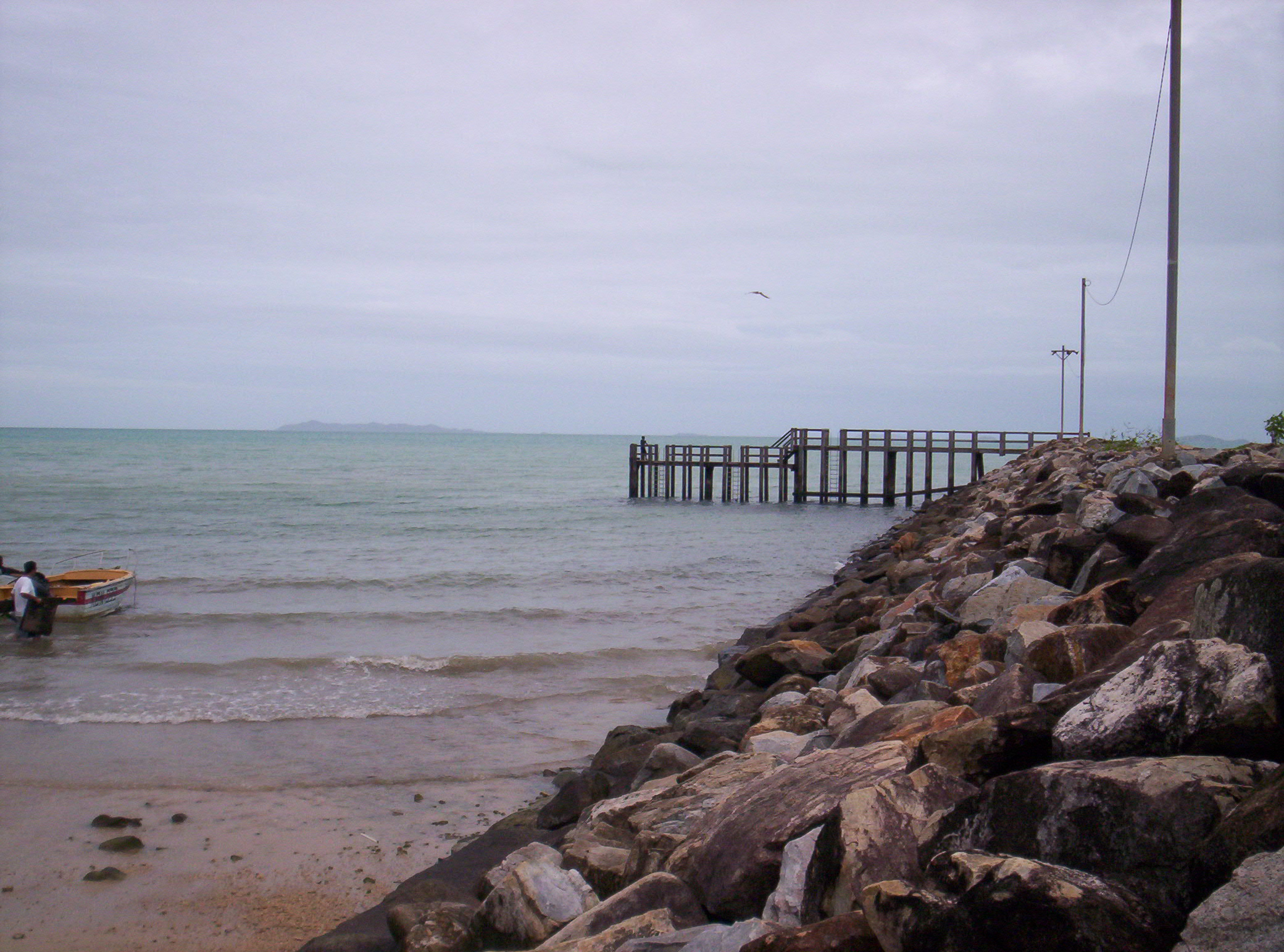 Moa Island Louise 251.jpg