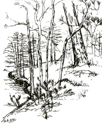 temagami sketch_heyes_cropped_reduced